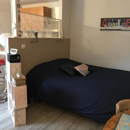 Rez-de-chaussee, A Lesquin/lille Aeroport Apartment *