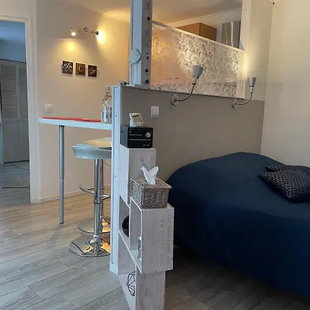 Rez-de-chaussee, A Lesquin/lille Aeroport Apartment Lesquin